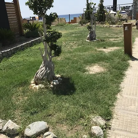 Semesteranläggning (resort) Privilege Beach