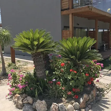 Privilege Beach 4*